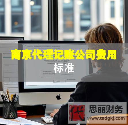 南京代理記賬公司費(fèi)用標(biāo)準(zhǔn)