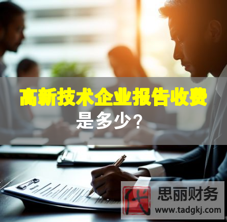 高新技術(shù)企業(yè)報(bào)告收費(fèi)是多少？