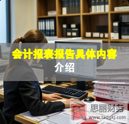 會計報表報告具體內容介紹