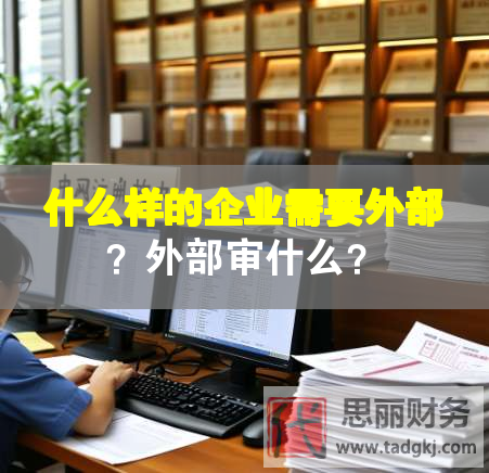 什么樣的企業(yè)需要外部？外部審什么？