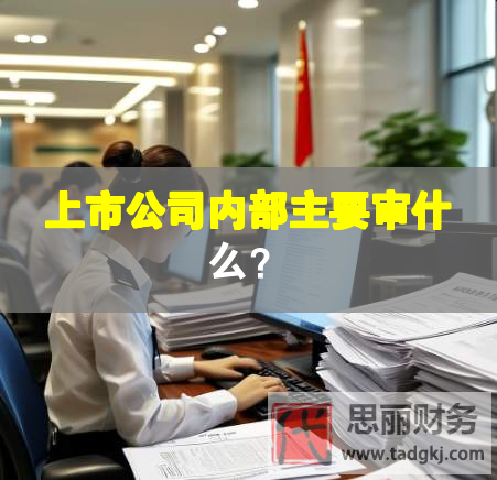 上市公司內(nèi)部主要審什么？