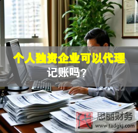 個人獨資企業(yè)可以代理記賬嗎？