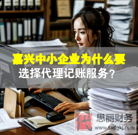 嘉興中小企業(yè)為什么要選擇代理記賬服務(wù)？