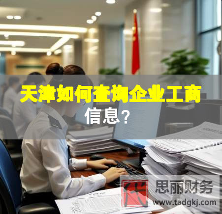 天津如何查詢企業(yè)工商信息？