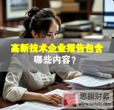 高新技術(shù)企業(yè)報告包含哪些內(nèi)容？