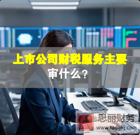 上市公司財稅服務(wù)主要審什么？